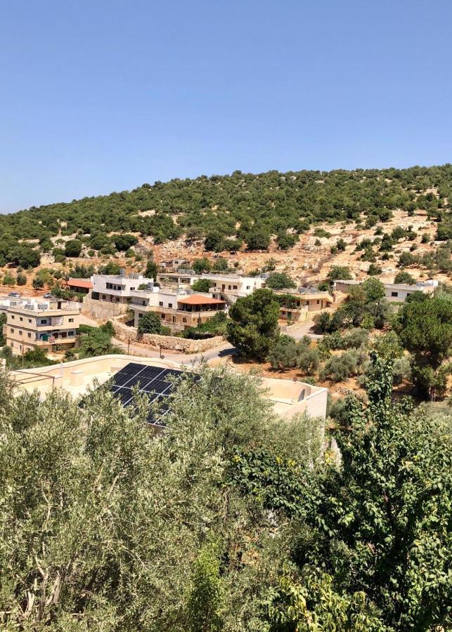 Mhna Guest House ‘Ajlūn Εξωτερικό φωτογραφία