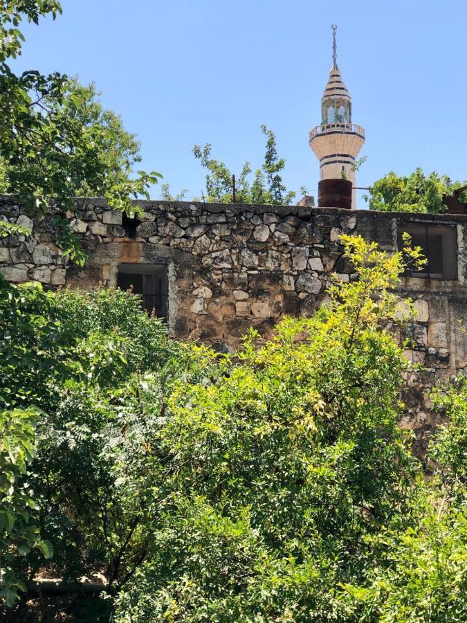 Mhna Guest House ‘Ajlūn Εξωτερικό φωτογραφία