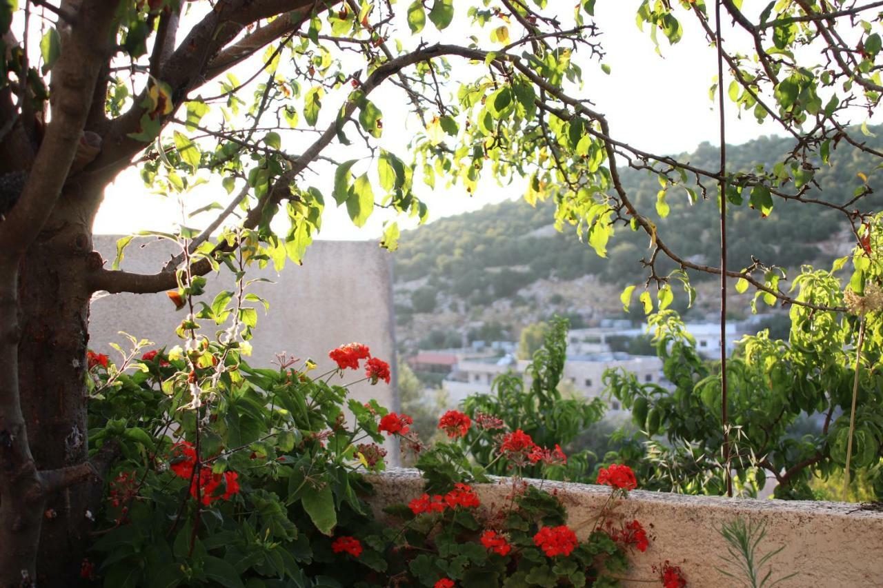 Mhna Guest House ‘Ajlūn Εξωτερικό φωτογραφία