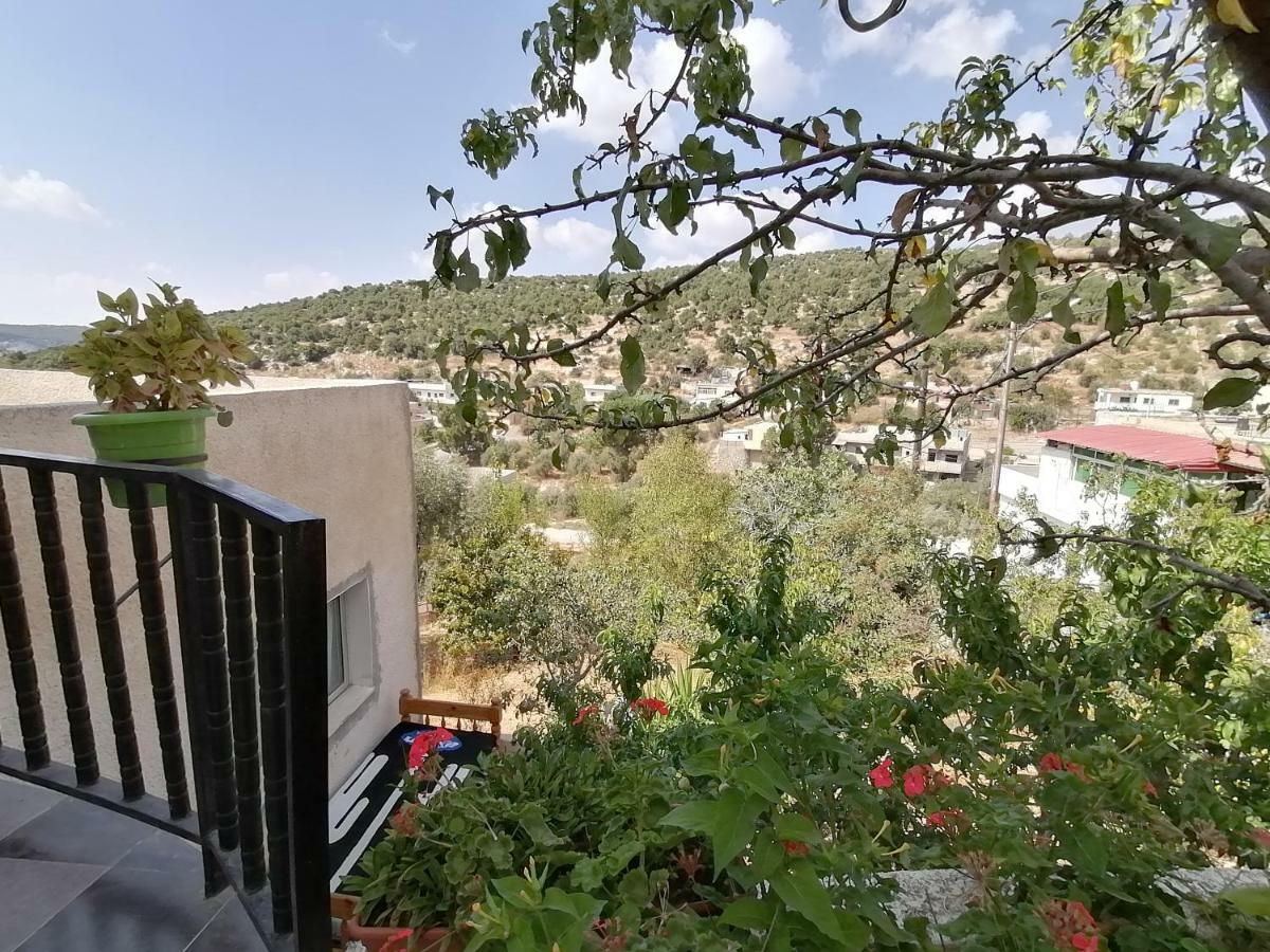 Mhna Guest House ‘Ajlūn Εξωτερικό φωτογραφία